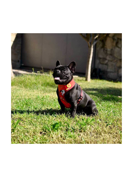 Dashi Dog Harness Yellow X-Large 75-107cm DNM00125