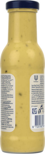 Hellmann's Honey & Mustard Sauce 250ml