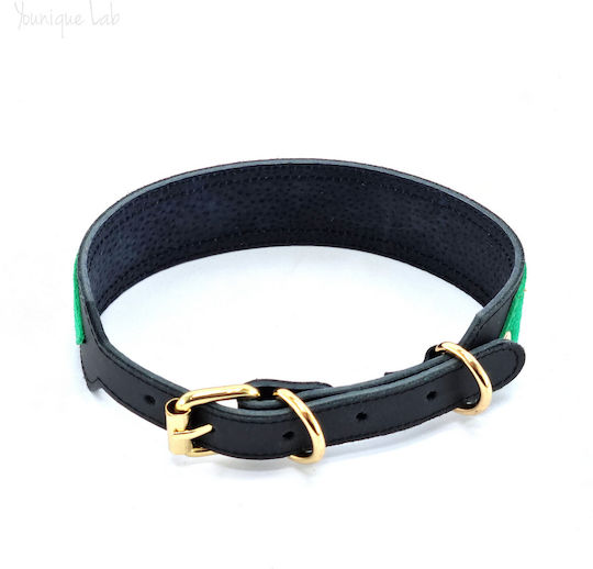 Younique Lab Dog Leash/Lead Leather SMALL in Black color 3cm