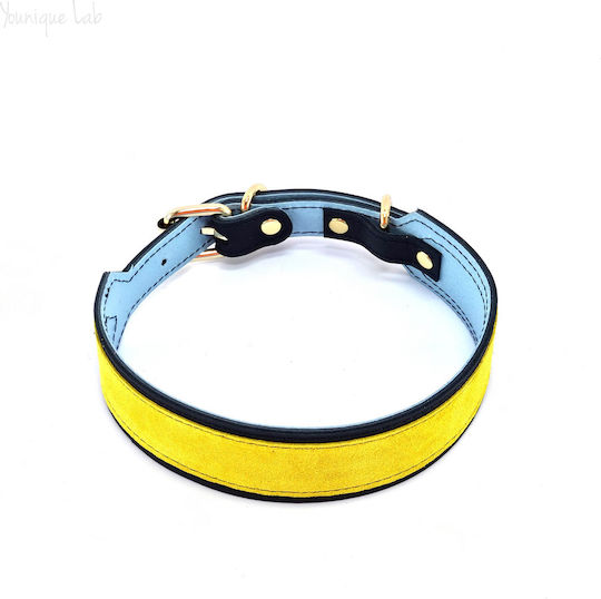 Younique Lab Dog Leash/Lead Leather in Blue color 3cm