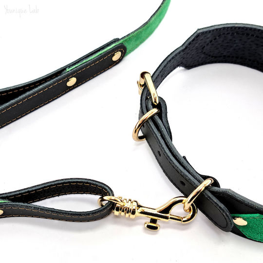 Younique Lab Dog Leash/Lead Leather SMALL in Black color 3cm