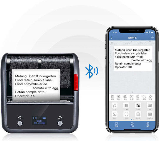 Niimbot Electronic Portable Label Maker Gray