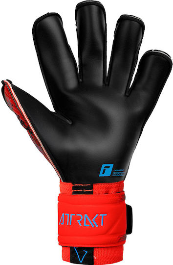 Reusch Attrakt Gold X Evolution Cut Adults Goalkeeper Gloves Red