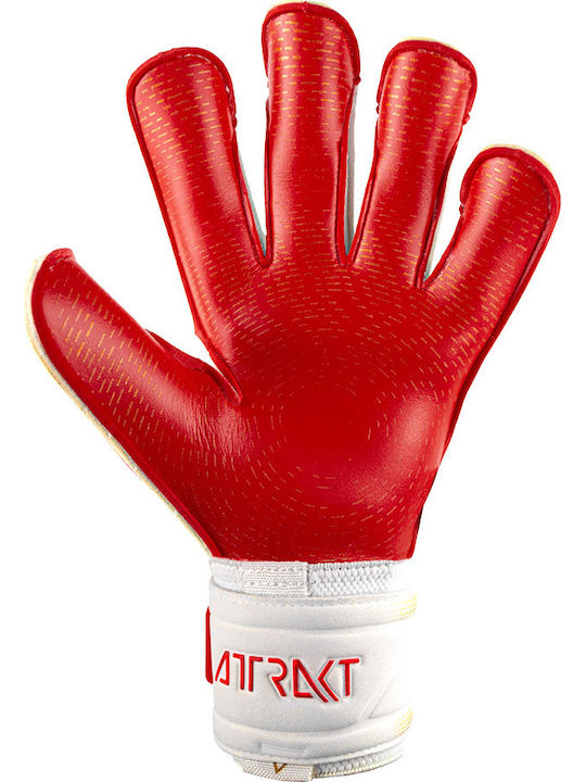 Reusch Attrakt Gold X Glueprint Γάντια Τερματοφύλακα Ενηλίκων Χρυσά
