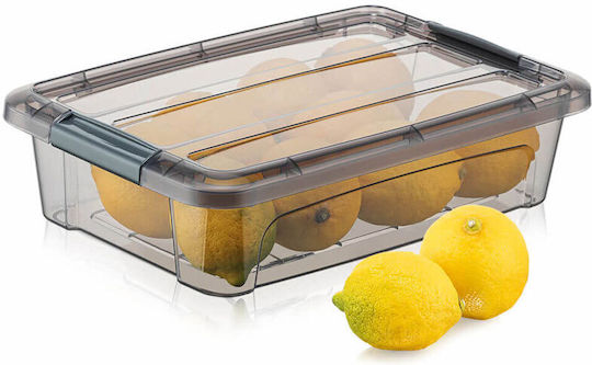 Qlux Plastic Storage Box with Lid 2.8lt