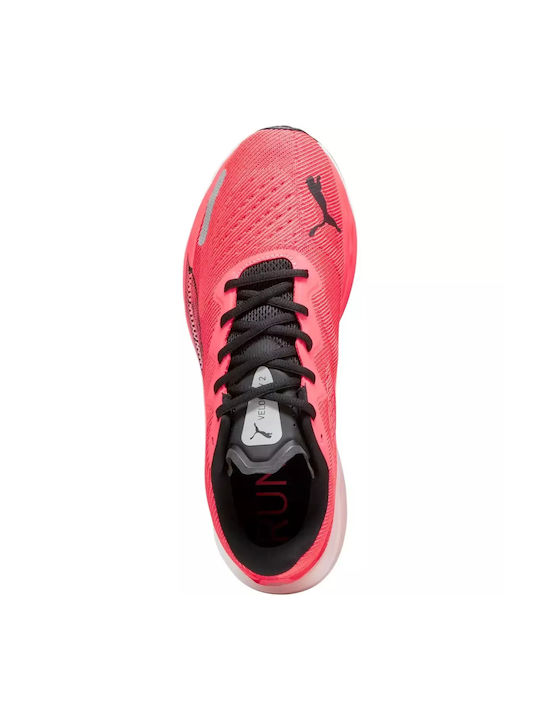 Velocity Nitro 2 Sport Shoes Running Black