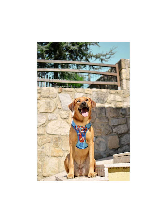 Dashi Dog Harness Vest Muskehounds Blue X-Small 30-36cm DNM00145