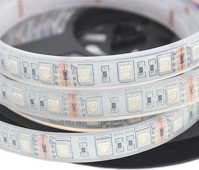 Eurolamp Rezistentă la apă Bandă LED Alimentare 24V RGB Lungime 5m și 60 LED-uri pe Metru SMD5050
