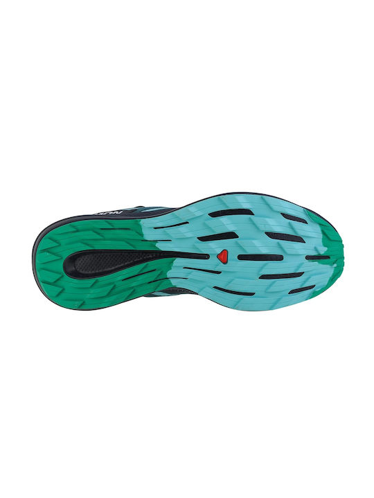 Pulsar Trail Sport Shoes Trail Running Blue