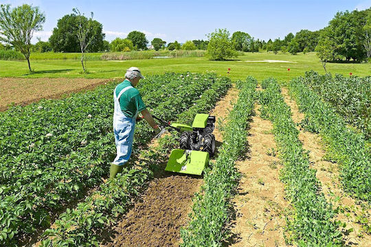 Grillo G55 Four-stroke Cultivator Gasoline 5.5hp/196cc with Engine Honda
