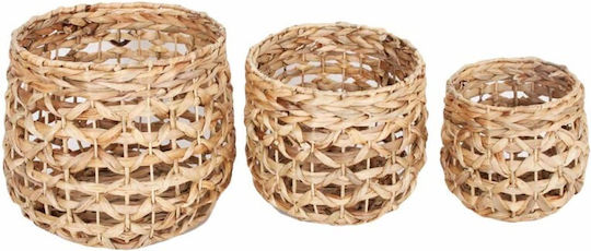 JK Home Decoration Decorative Basket Garden Wicker Set of 3 pieces 36x30cm-28x26cm-22x21cm 56572