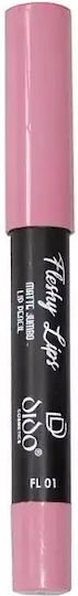 Dido Cosmetics Fleshy Lips Matte Jumbo Lip Pencil Long Lasting Pencil Lipstick Matte No 01 2gr