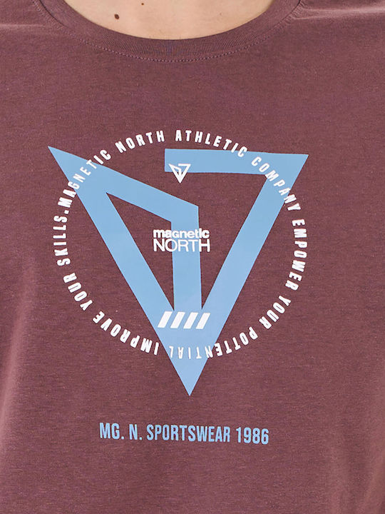 Magnetic North