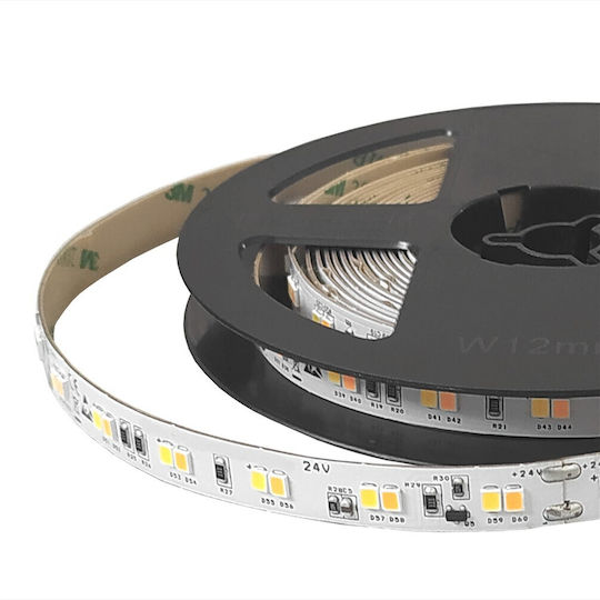 Cubalux LED Strip 24V Warm White Light 5m