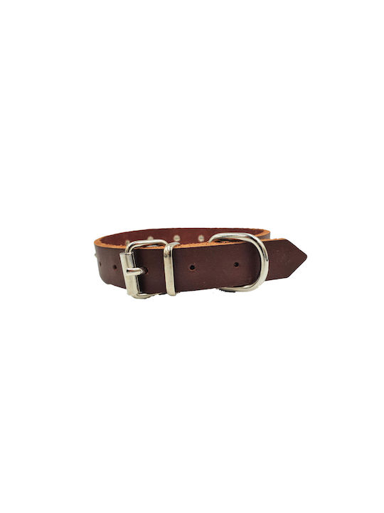 ByLeather Κολάρο Δερμάτινο σε Καφέ χρώμα Small 35cm ByLeather Κολάρο Δερμάτινο σε Καφέ χρώμα Small 35cm