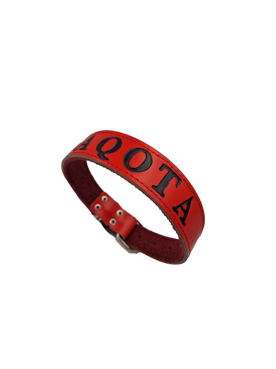 ByLeather Κολάρο Δερμάτινο σε Κόκκινο χρώμα Small 60cm ByLeather Κολάρο Δερμάτινο σε Κόκκινο χρώμα Small 60cm