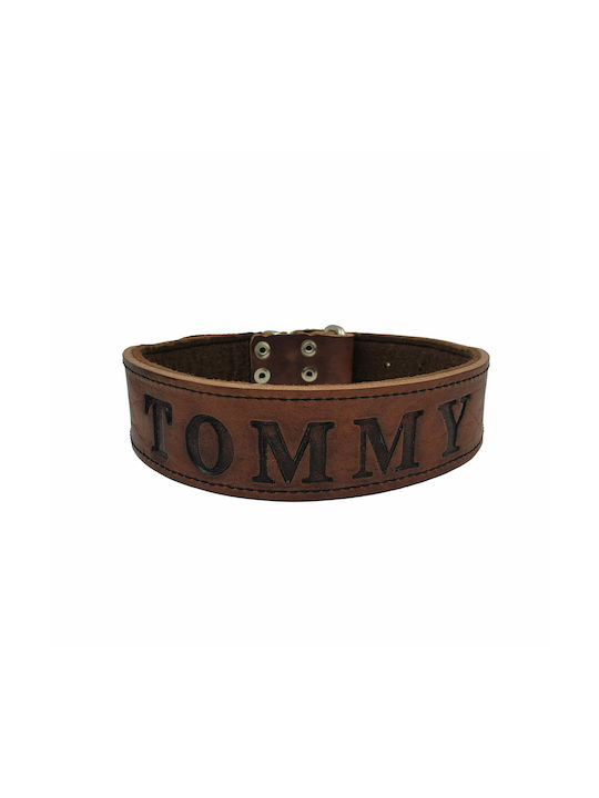 ByLeather Hundehalsband Leder in Braun Farbe Klein 70cm