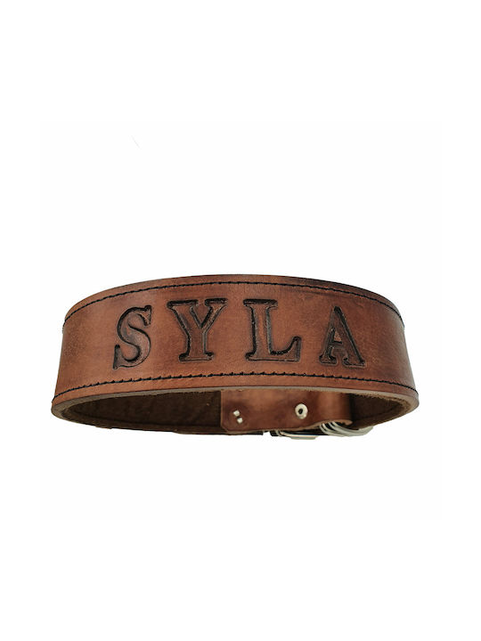 ByLeather Hundehalsband Leder in Braun Farbe Klein 70cm