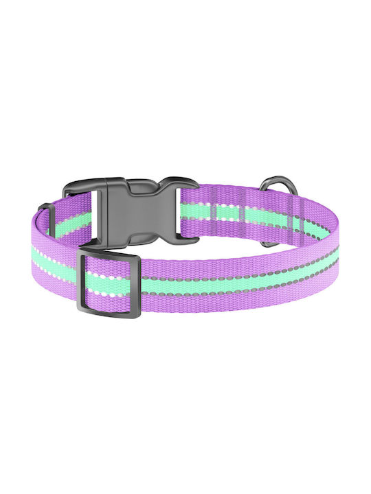 Collar Dog Collar Illuminated 35cm Purple