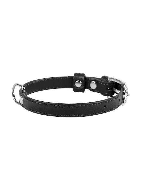 Collar Dog Collar Black