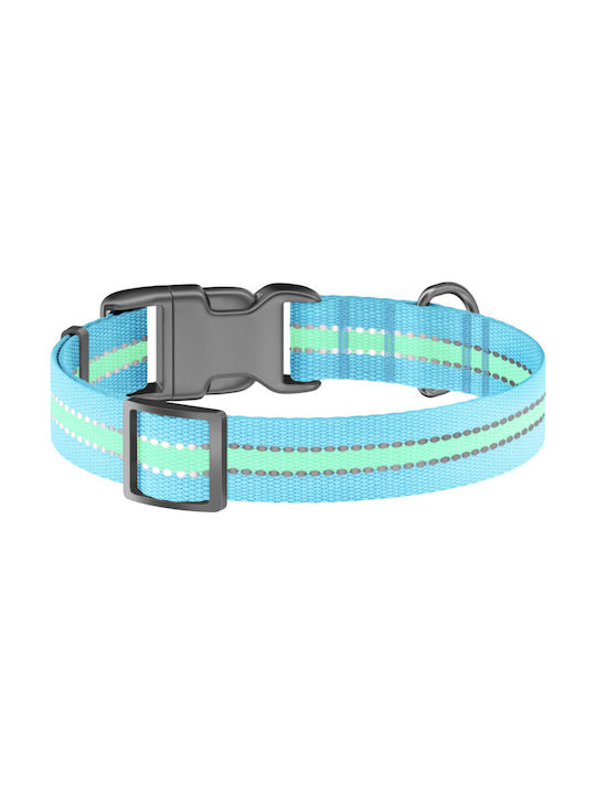 Collar Dog Collar Illuminated 49cm Blue