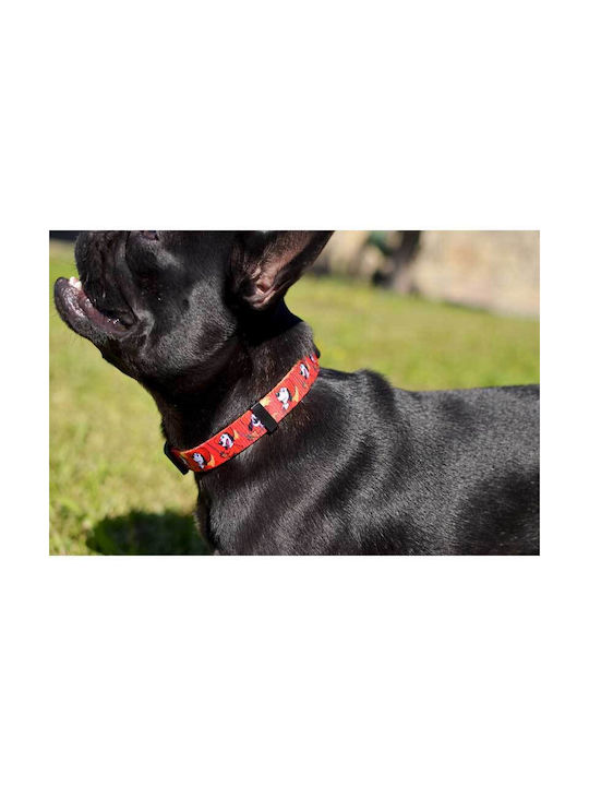 Dashi Dog Collar in Red color Medium