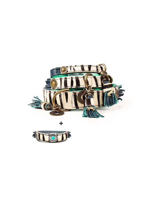 DWAM Dog Collar in White color