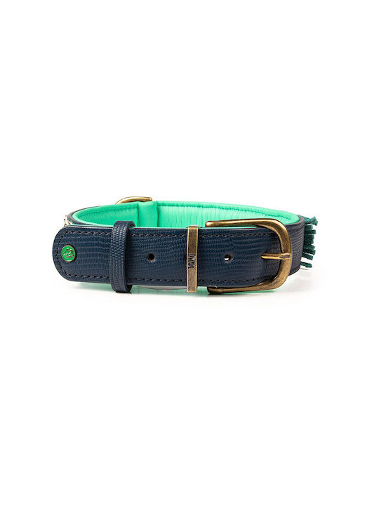 DWAM Dog Collar in White color