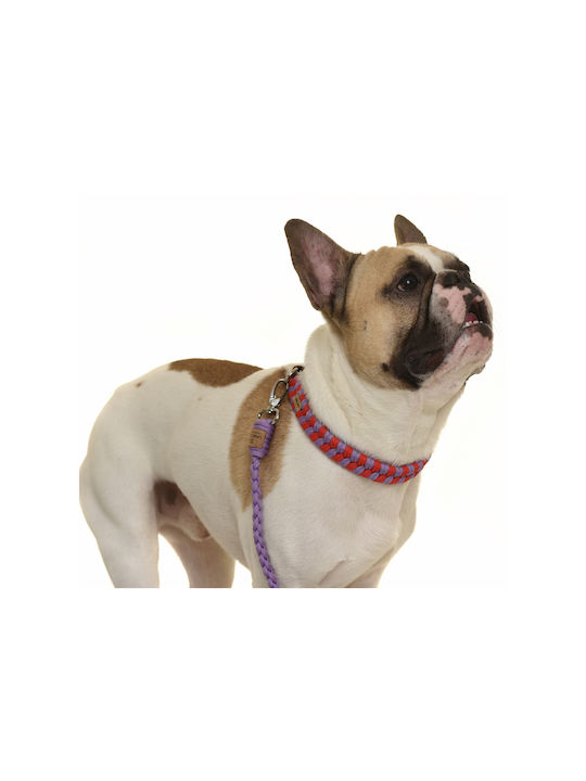 Unicord Dog Collar Purple