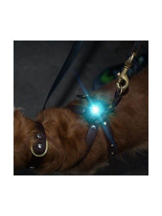 orbiloc Dog Collar Illuminated Pink