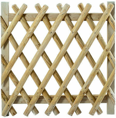 Showood Ξύλινη Πόρτα Φράχτη σε Μπεζ Χρώμα 80cm x 1m
