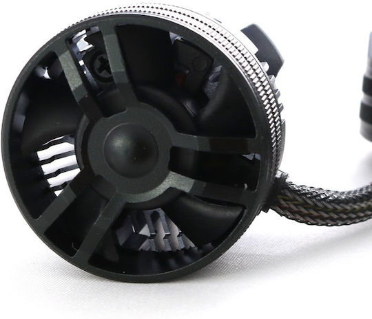 Streetech Λάμπες Αυτοκινήτου HB3-9005 Canbus LED 6000K Ψυχρό Λευκό 30V 65W 2τμχ
