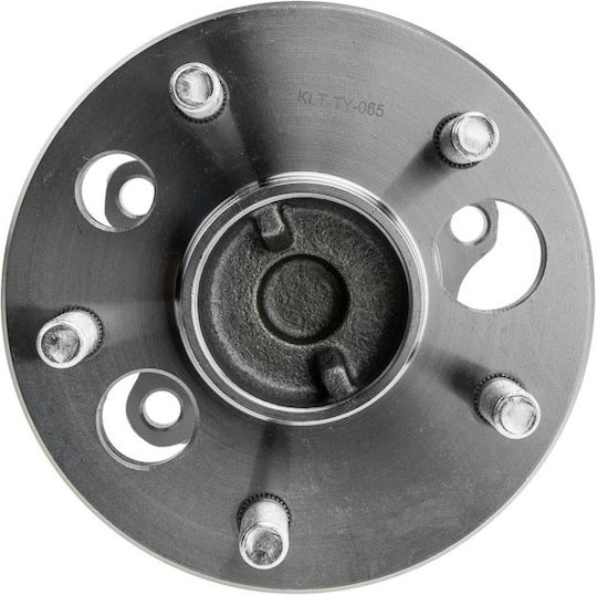 NTY Wheel Bearings for Toyota Picnic