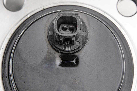 NTY Wheel Bearings