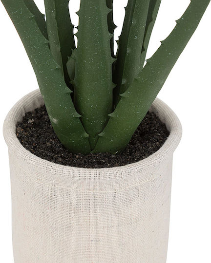 Aloe Aloe in Ecru Potted Plant Atmosphera Aloe Aloe in Ecru Potted Plant Atmosphera