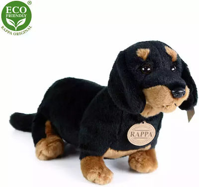 Rappa Plush Toy Puppy 30cm