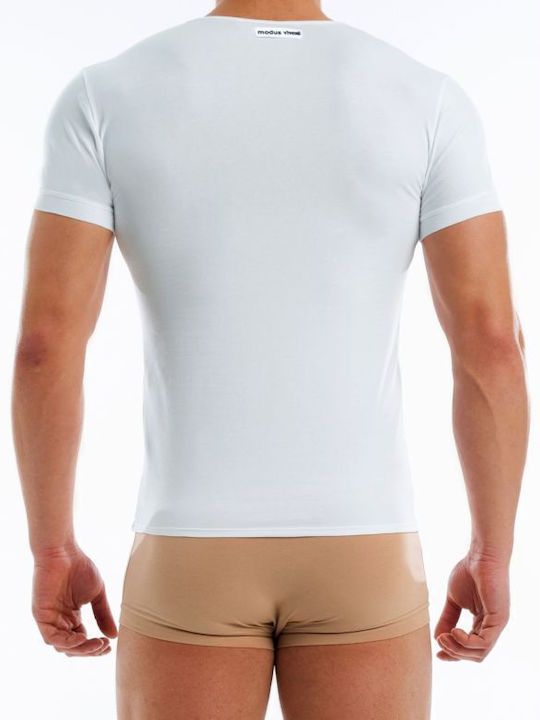 Modus Vivendi Modus Vivendi