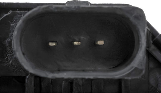 NTY Auto Zurück