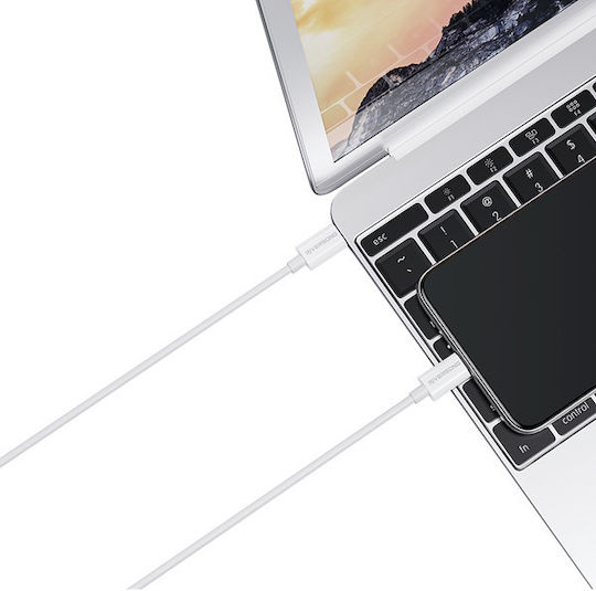 Riversong Lotus 08 USB 2.0 Cable USB-C male - USB-C 60W PD Λευκό 1m CT76W