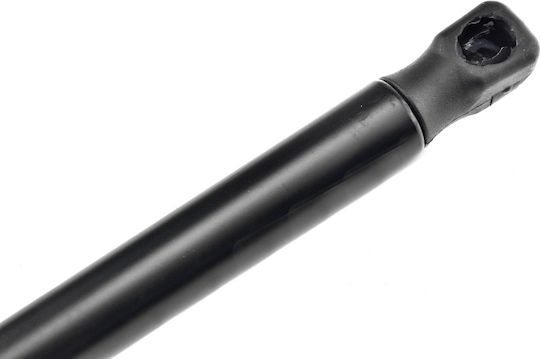 NTY Trunk Shock for Ford Focus