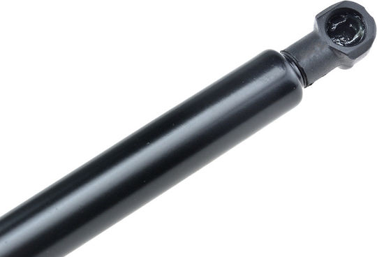 NTY Trunk Shock