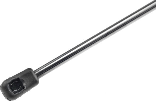 NTY Trunk Shock