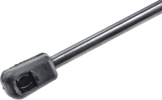 NTY Trunk Shock for Mini Cabrio