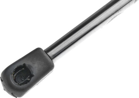 NTY Kofferraum-Schock für Chrysler 300C