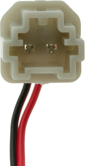 NTY Φώτα Πινακίδας Led για Honda Jazz / Civic 2τμχ