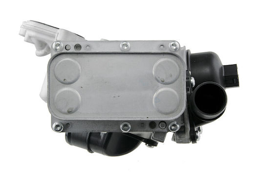 NTY Ψυγείο Λαδιού Αυτοκινήτου για Opel Vivaro Renault Laguna / Trafic Nissan Qashqai