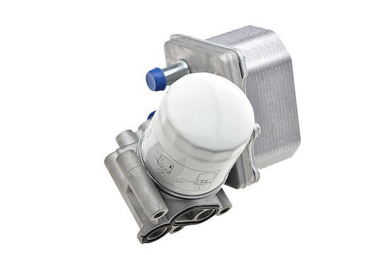 NTY Car Oil Radiator for Fiat Ducato Citroen Jumper Ford Transit