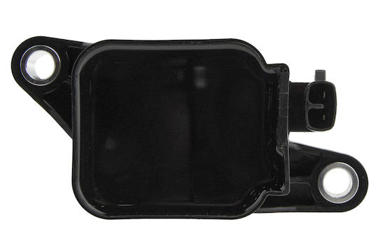 NTY Zündspulen für Autos für Renault Großartiger Szenischer / Megane / Malerei