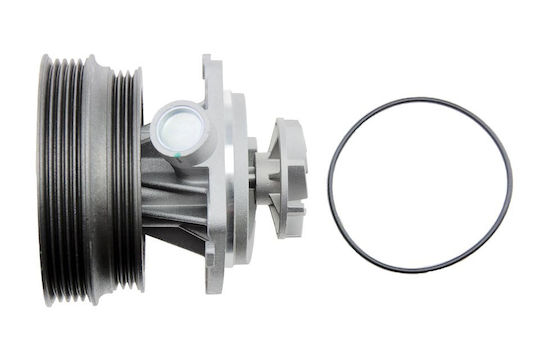 NTY Car Water Pump for Fiat Brava / Bravo / Doblo / Marea / Multipla / Palio / Siena / Stilo Lancia Dedra / Delta / Lybra