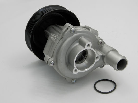 NTY Car Water Pump for Fiat Palio / Punto / Siena / Tempra / Tipo Lancia Dedra / Delta